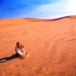 Как выжить в пустыне