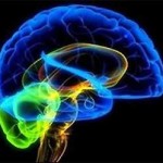 Как развить мозг